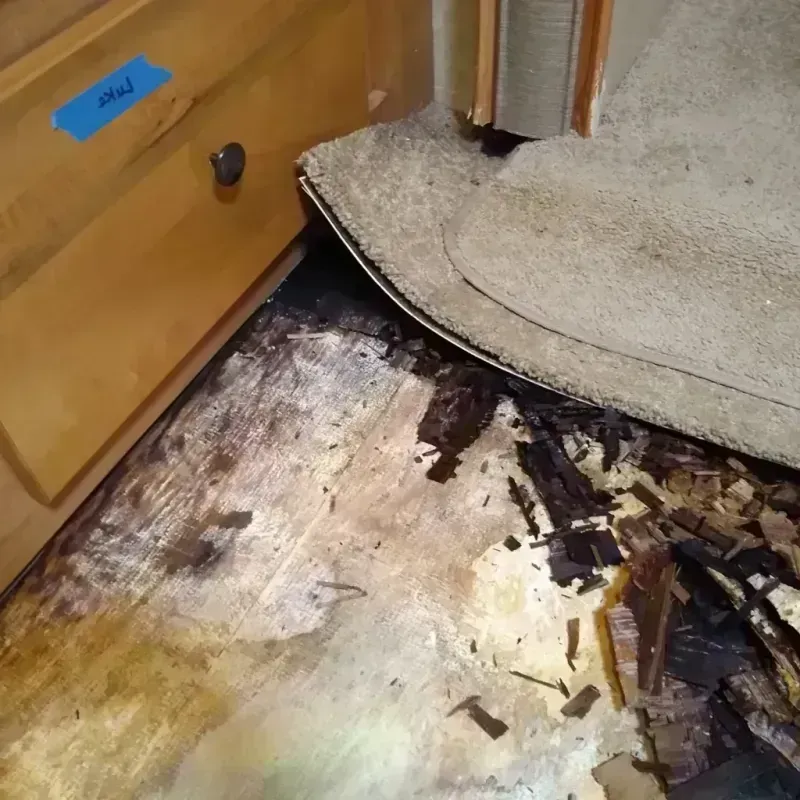 Best Wood Floor Water Damage Service in Carlyle, IL